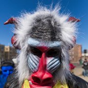 2014-03-23_12-25_10192_WTA_5DM3 The Marche du Nain Rouge The founder of Detroit, Antoine de la Mothe Cadillac, met a fortune teller in 1701 who told him his dreams about a red devil were of...