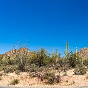 2013-04-13_16-46_19697_WTA_5DM3 Saguaro National Park, Tucson, Arizona is home to North America’s largest cacti. The giant saguaro is the universal symbol of the American west. These majestic...