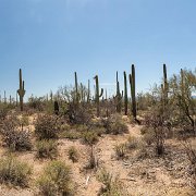 2013-04-13_16-35_19561_WTA_5DM3 Saguaro National Park, Tucson, Arizona is home to North America’s largest cacti. The giant saguaro is the universal symbol of the American west. These majestic...