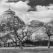 2014-04-05_09-49_14431_WTA_5DM3_HDR-5 The Belle Isle Conservator The Anna Scripps Whitcomb Conservatory (commonly and locally known as the Belle Isle Conservatory) is a greenhouse and botanical...