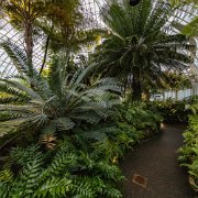 2017-06-23_21201_WTA_5DM4 Phipps Conservatory and Botanical Gardens is a botanical garden set in Schenley Park, Pittsburgh, Pennsylvania, United States. It is a City of Pittsburgh...