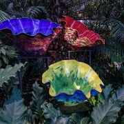 2017-06-23_21259_WTA_5DM4 Phipps Conservatory and Botanical Gardens is a botanical garden set in Schenley Park, Pittsburgh, Pennsylvania, United States. It is a City of Pittsburgh...
