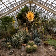 2017-06-23_21392_WTA_5DM4 Phipps Conservatory and Botanical Gardens is a botanical garden set in Schenley Park, Pittsburgh, Pennsylvania, United States. It is a City of Pittsburgh...