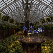 2017-06-23_21395_WTA_5DM4 Phipps Conservatory and Botanical Gardens is a botanical garden set in Schenley Park, Pittsburgh, Pennsylvania, United States. It is a City of Pittsburgh...