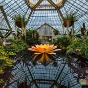 2017-06-23_21420_WTA_5DM4_HDR Phipps Conservatory and Botanical Gardens is a botanical garden set in Schenley Park, Pittsburgh, Pennsylvania, United States. It is a City of Pittsburgh...