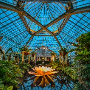 2017-06-23_21460_WTA_5DM4_HDR Phipps Conservatory and Botanical Gardens is a botanical garden set in Schenley Park, Pittsburgh, Pennsylvania, United States. It is a City of Pittsburgh...