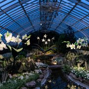 2017-06-23_21466_WTA_5DM4 Phipps Conservatory and Botanical Gardens is a botanical garden set in Schenley Park, Pittsburgh, Pennsylvania, United States. It is a City of Pittsburgh...
