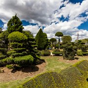 2016-04-08_14427_WTA_5DSR Pearl Fryar Topiary Garden - Around 1988, he began trimming the evergreen plants around his yard into unusual shapes. In addition to the boxwood and yew found...