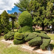 2016-04-08_14444_WTA_5DSR Pearl Fryar Topiary Garden - Around 1988, he began trimming the evergreen plants around his yard into unusual shapes. In addition to the boxwood and yew found...