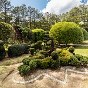 2016-04-08_14475_WTA_5DSR Pearl Fryar Topiary Garden - Around 1988, he began trimming the evergreen plants around his yard into unusual shapes. In addition to the boxwood and yew found...