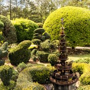 2016-04-08_14495_WTA_5DSR Pearl Fryar Topiary Garden - Around 1988, he began trimming the evergreen plants around his yard into unusual shapes. In addition to the boxwood and yew found...
