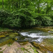 2021-07-18_43626_WTA_R5 Whitaker Falls, Webster County, West Virginia