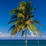 2006-02-07_03392_WTA_5DM1