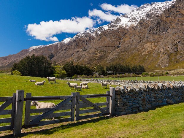 Stone Buildings, Churches, Fences