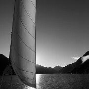 IMG_2009_10_30_6253_bw-2 Doubtful Sound - New Zealand