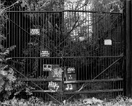 2014-07-05_22668_WTA_5DM3