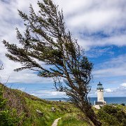 2024-05-06_442083_WTA_R5 2024 Road Trip - Day 35 North Head Lighthouse Ilwaco, Washington