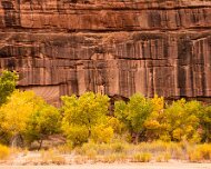 2015-10-30_09725_WTA_5DSR