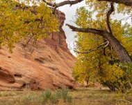 2015-10-30_09821_WTA_5DSR