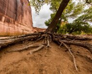 2015-10-30_09988_WTA_5DSR