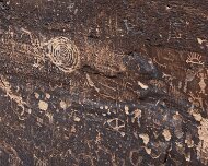 2022-05-22_128362_WTA_R5 Petrified Forest National Park is an American national park in Navajo and Apache counties in northeastern Arizona. Named for its large deposits of petrified...