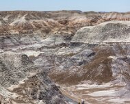 2022-05-22_128551_WTA_R5 Petrified Forest National Park is an American national park in Navajo and Apache counties in northeastern Arizona. Named for its large deposits of petrified...