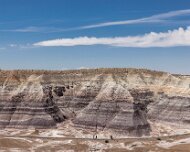 2022-05-22_128666_WTA_R5 Petrified Forest National Park is an American national park in Navajo and Apache counties in northeastern Arizona. Named for its large deposits of petrified...