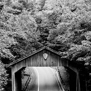 IMG_20080801_0361-Edit-2