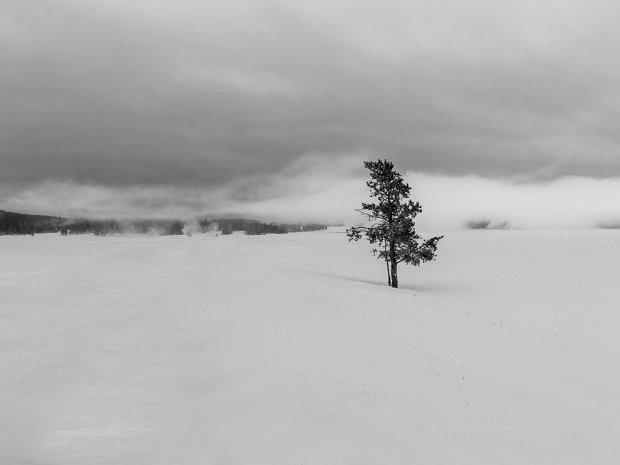 Yellowstone