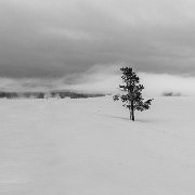 2025-01-21_295596_WTA_R6m2-Pano Yellowstone - Day 1