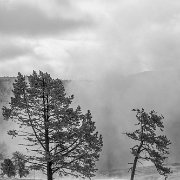 2025-01-21_297045_WTA_R5m2 Yellowstone - Day 1