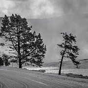 2025-01-21_297053_WTA_R5m2-Edit Yellowstone - Day 1