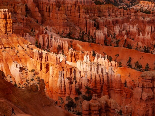 Bryce