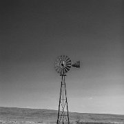 2024-04-06_299240_WTA_R5-Edit Windmill Holland, Minnesota