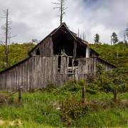 2024-04-30_435607_WTA_R5-2 2024 Road Trip - Day 29 Lorane, Oregon