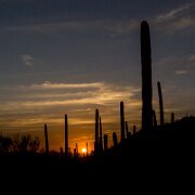 2013-04-20_21-55_20521_WTA_5DM3