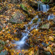 2018-11-03_56682_WTA_5DM4-Edit Woodland Waterfall