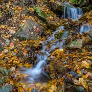 2018-11-03_56682_WTA_5DM4 Woodland Waterfall