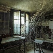 2025-03-22_334976_WTA_R5m2-HDR