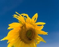 2014-08-28_47217_WTA_5DM3-2