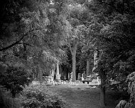 2014-07-05_22254_WTA_5DM3 Elmwood Cemetery was originally planned in 1846.[9] The first 42 acres (170,000 m2) were purchased from the George Hunt farm[10] using money from subscriptions...