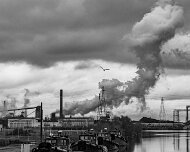 2019-01-01_63585_WTA_5DM4 Detroit