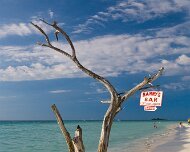 2007-02-10_17163_WTA_5DM1