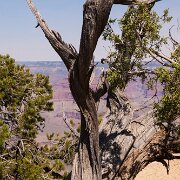2009-08-30_06424_WTA_5DM2 Grand Canyon