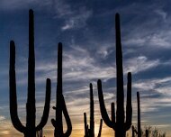 2013-04-20_21-39_20431_WTA_5DM3