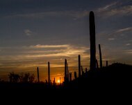 2013-04-20_21-55_20521_WTA_5DM3