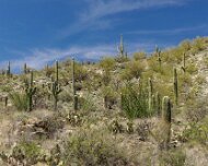 2018-03-23_32554_WTA_5DM4 Arizona