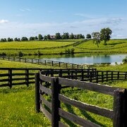 2023-07-20_181728_WTA_R5 Nashville Road Trip