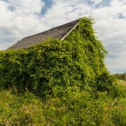 2014-07-19_19830_WTA_5DM3-2