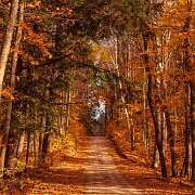 2010-10-15_15-17_06383_WTA_5DM2
